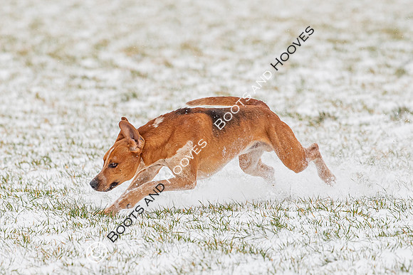 Hound Exercise