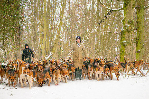 Hound Exercise