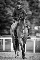 The Royal Windsor Horse Show