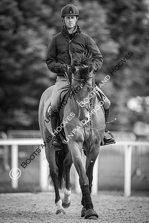 The Royal Windsor Horse Show