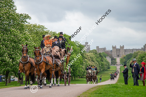 The Royal Windsor Horse Show