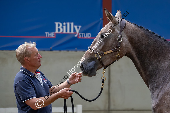 The Billy Stud Auction