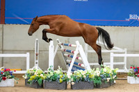 The Billy Stud Auction