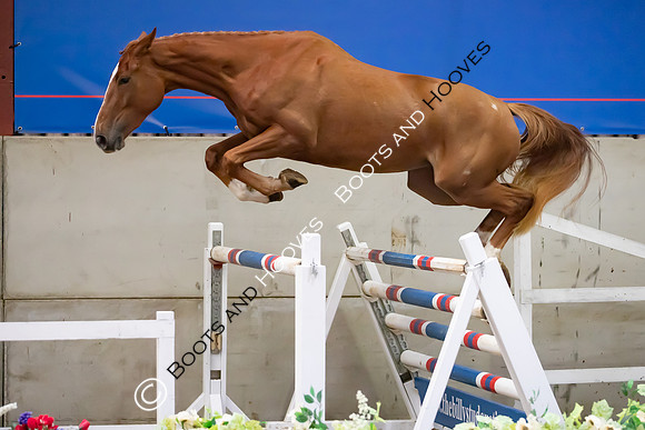 The Billy Stud Auction