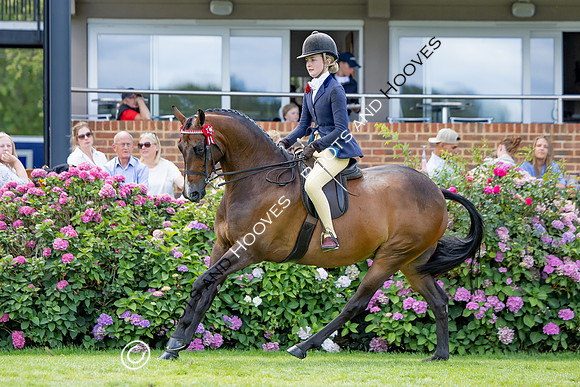 The Agria Royal International Horse Show