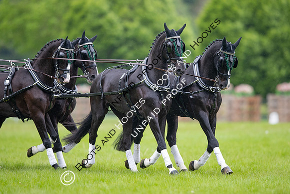 The Royal Windsor Horse Show