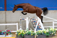 The Billy Stud Auction