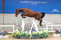The Billy Stud Auction