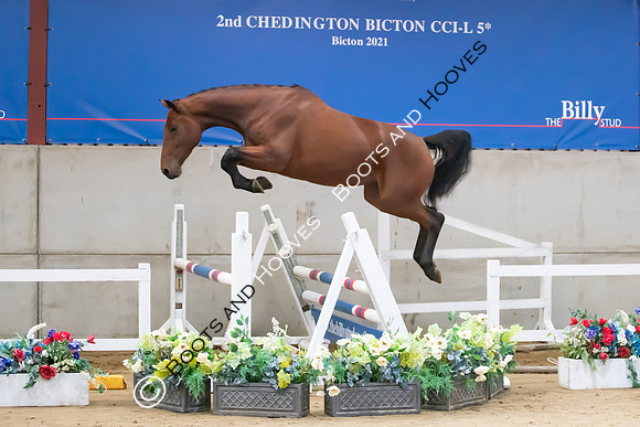 The Billy Stud Auction