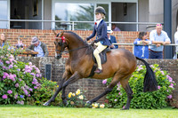 The Agria Royal International Horse Show