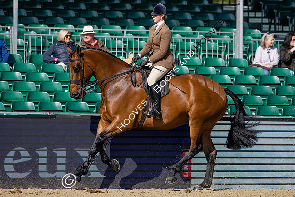 Royal Windsor Horse Show