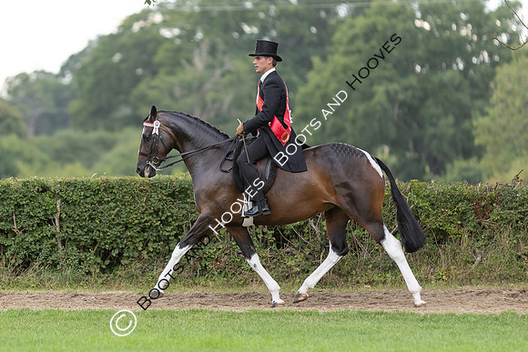 The Royal International Horse Show