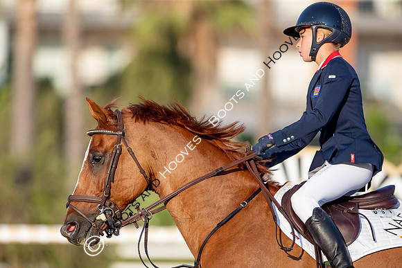 FEI Junior European Championship Young Riders, Juniors & Childre