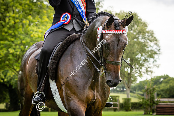 The Royal International Horse Show