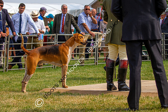 Festival of Hunting