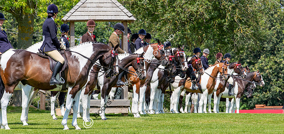 The Prenetics Royal International Horse Show
