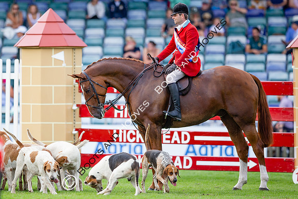 The AGRIA Royal International Horse Show