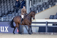 Royal Windsor Horse Show