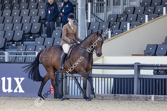 Royal Windsor Horse Show
