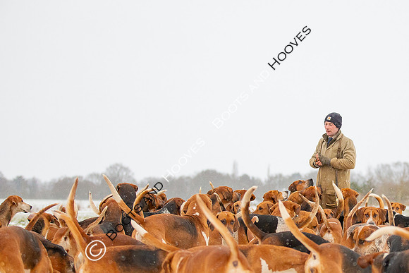Hound Exercise
