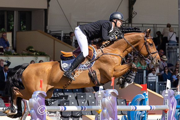 Royal Windsor Horse Show