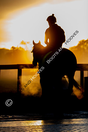 Newmarket