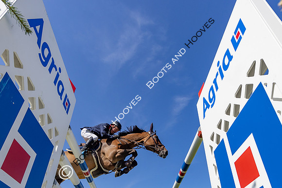 The AGRIA Royal International Horse Show