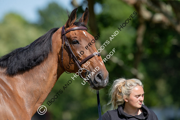 The Al Shira’aa Hickstead Derby Meeting