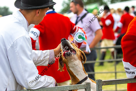 Festival of Hunting