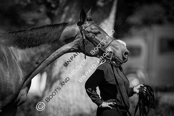 The Al Shira’aa Hickstead Derby Meeting