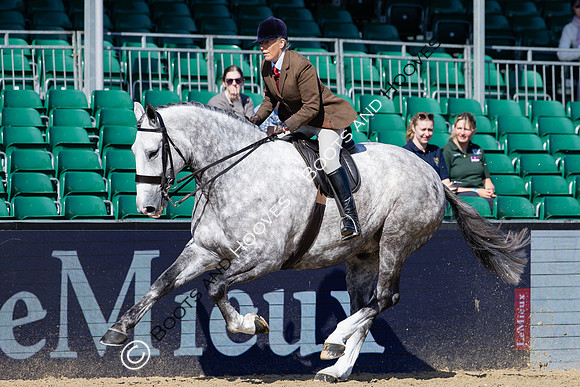 Royal Windsor Horse Show