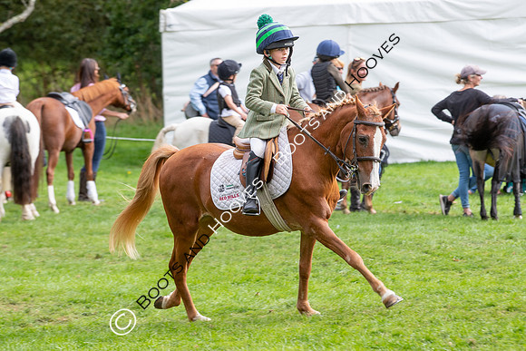 Science Supplements All England Jumping Championships