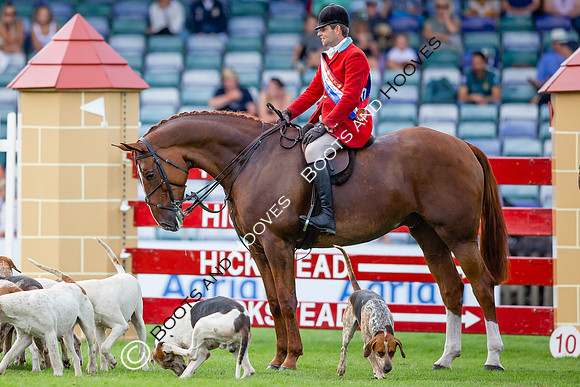 The AGRIA Royal International Horse Show