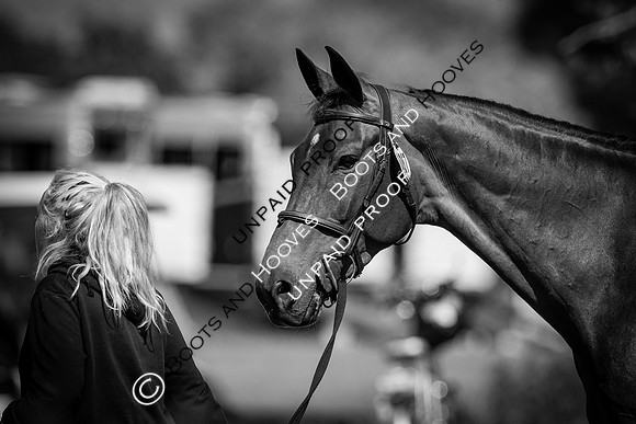 The Al Shira'aa Hickstead Derby Meeting