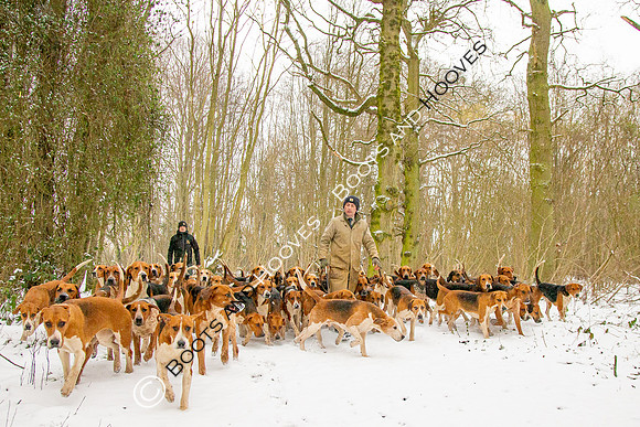 Hound Exercise