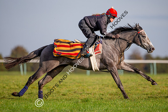 Newmarket