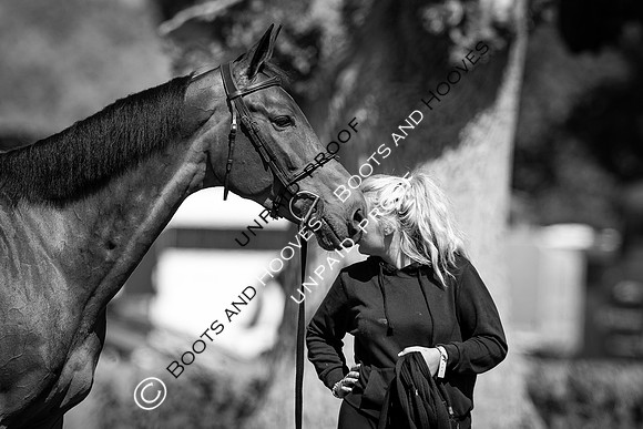 The Al Shira’aa Hickstead Derby Meeting