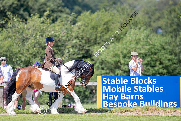 The Prenetics Royal International Horse Show