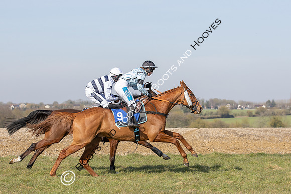 Newmarket