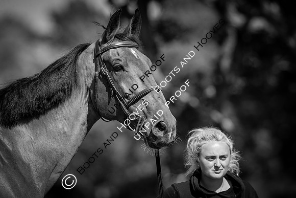 The Al Shira’aa Hickstead Derby Meeting