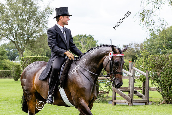 The Royal International Horse Show