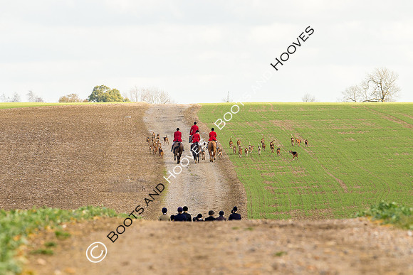 Hunting
