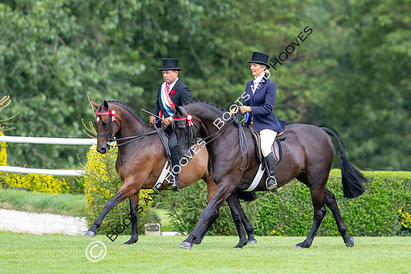 The Prenetics Royal International Horse Show