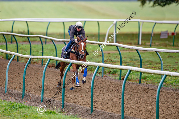 Newmarket