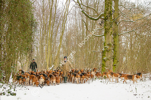 Hound Exercise