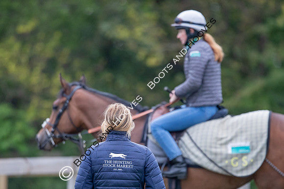Newmarket Gallops