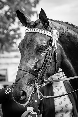 The Royal International Horse Show