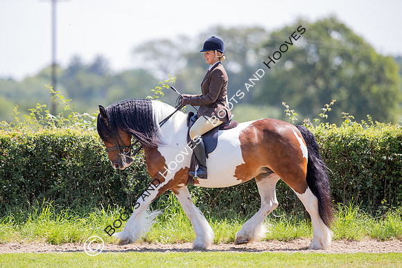 The Prenetics Royal International Horse Show