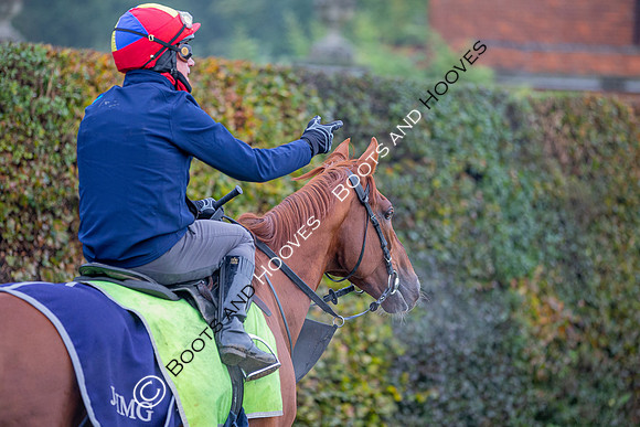 Newmarket