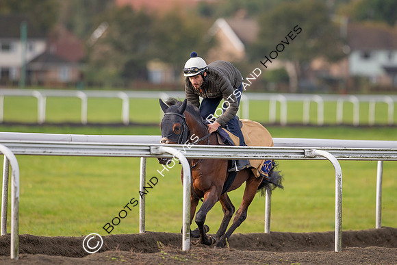 Newmarket